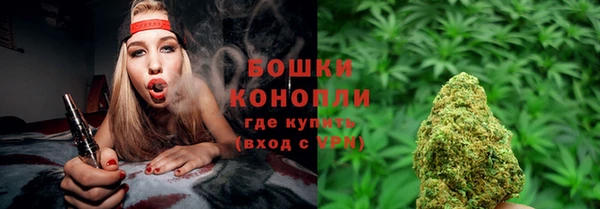 гашик Бородино