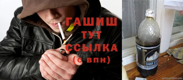 гашик Бородино