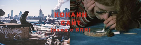 гашик Бородино