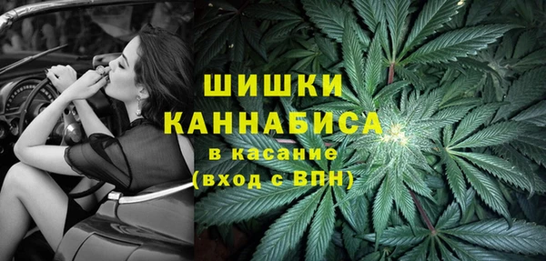 крисы Бабаево