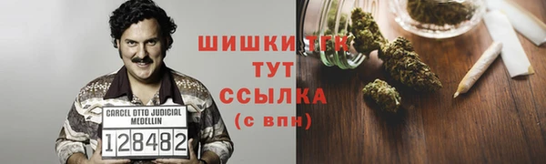 прущие грибы Аша