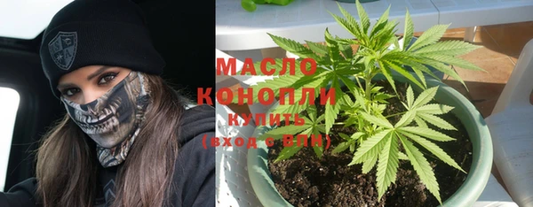гашик Бородино