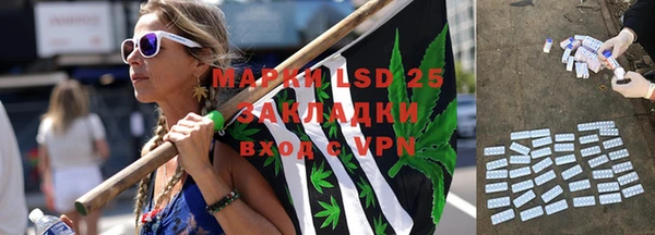 прущие грибы Аша