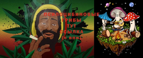гашик Бородино