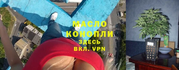 гашик Бородино