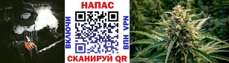 МАРИХУАНА сатива ссылка на мегу вход Вилюйск